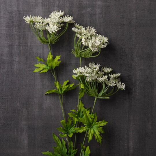 12 Pack: White Queen Anne's Lace Spray by Ashland®